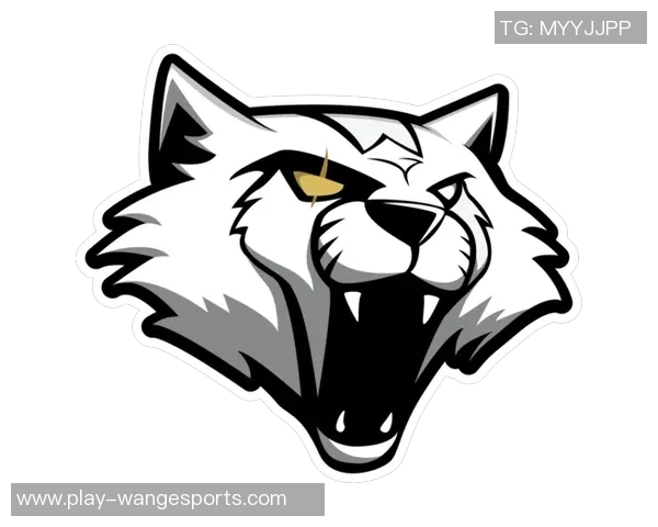 电竞比分CSGO巨献揭秘WE战队耐力训练与竞技表现的深度分析 电竞比分CSGO巨献揭秘WE战队耐力训练与竞技表现的深度分析